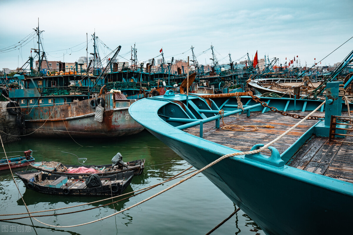 休渔期到来但这些海鲜仍可以选择,休渔期什么海鲜最好卖