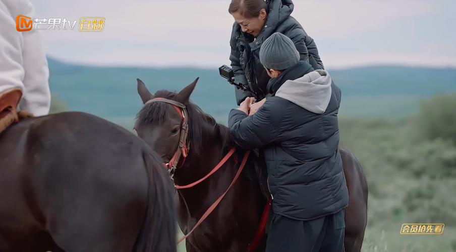 张婉婷宋宁峰最终结果,宋宁峰张婉婷细节分析