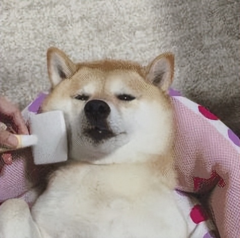 蓝铜肽补水多效修护面膜怎么样,皙活冻膜