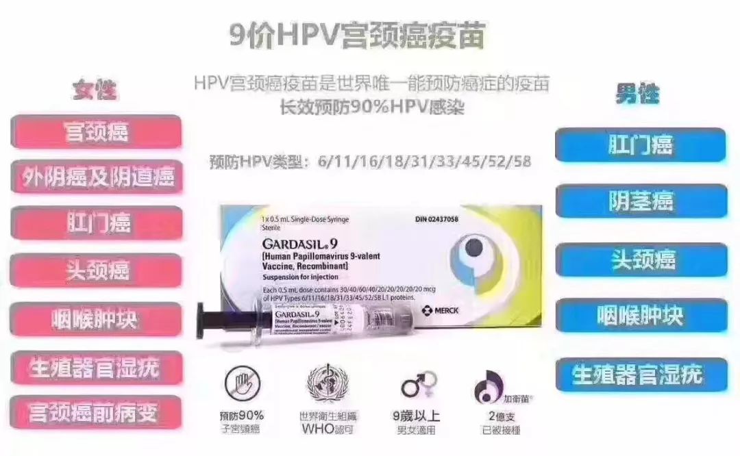 赴港必备三件套,出海4件套