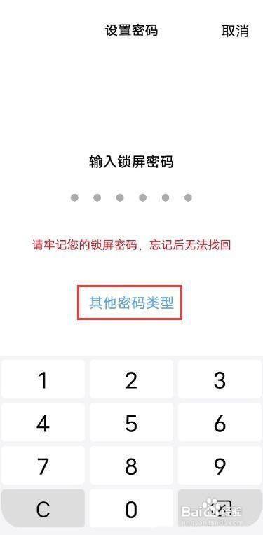 vivos9怎么修改密码,vivos9设置打开密码
