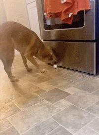 女厕的诡异之处,女厕所发现怪异男尸