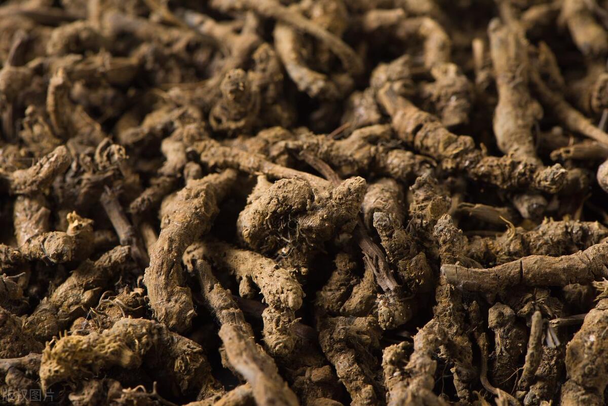 今日药材行情车前子柴胡金银花苦地丁黄连钩藤栀子泽泻白芨川芎