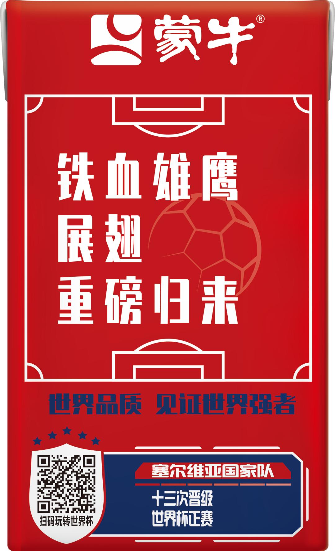 世界杯足球员故事,世界杯队长纪录片第四集