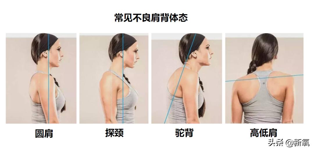 富豪千金妮可拉,富家千金妮可拉