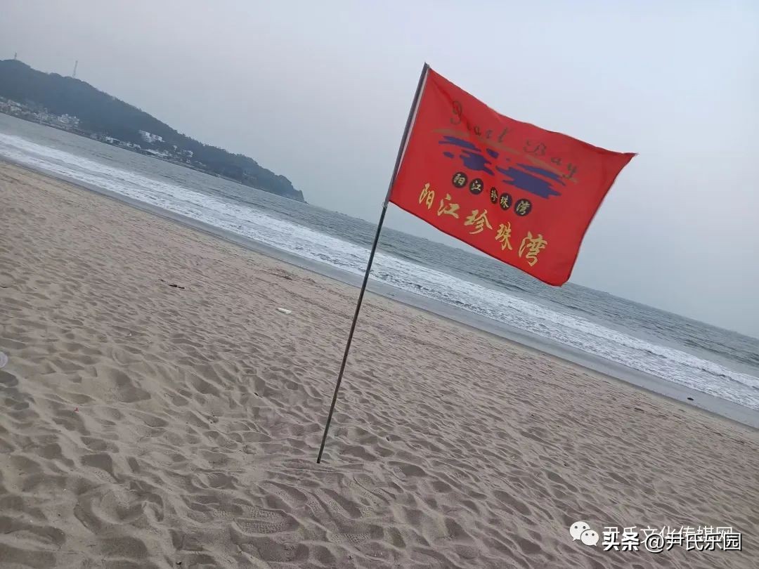 江阳区好玩的地方推荐,江阳景点热门排行榜