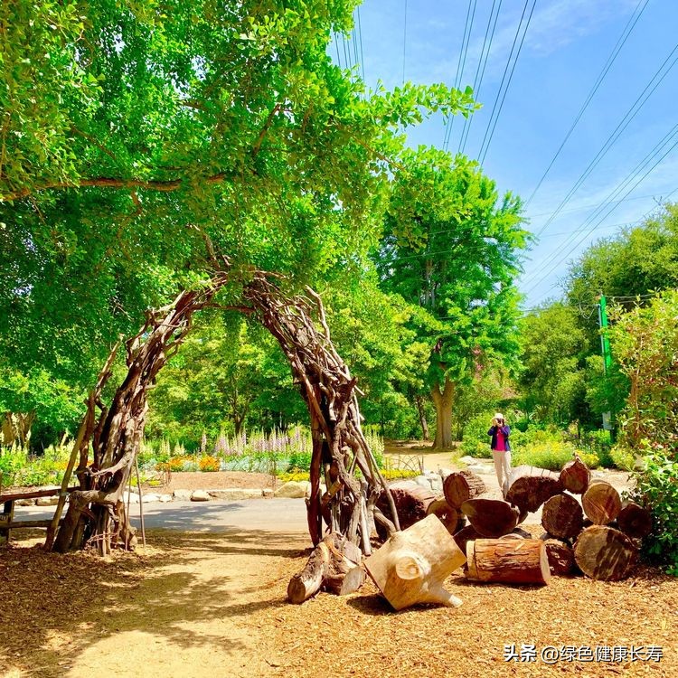 世界花园风景,世界花园