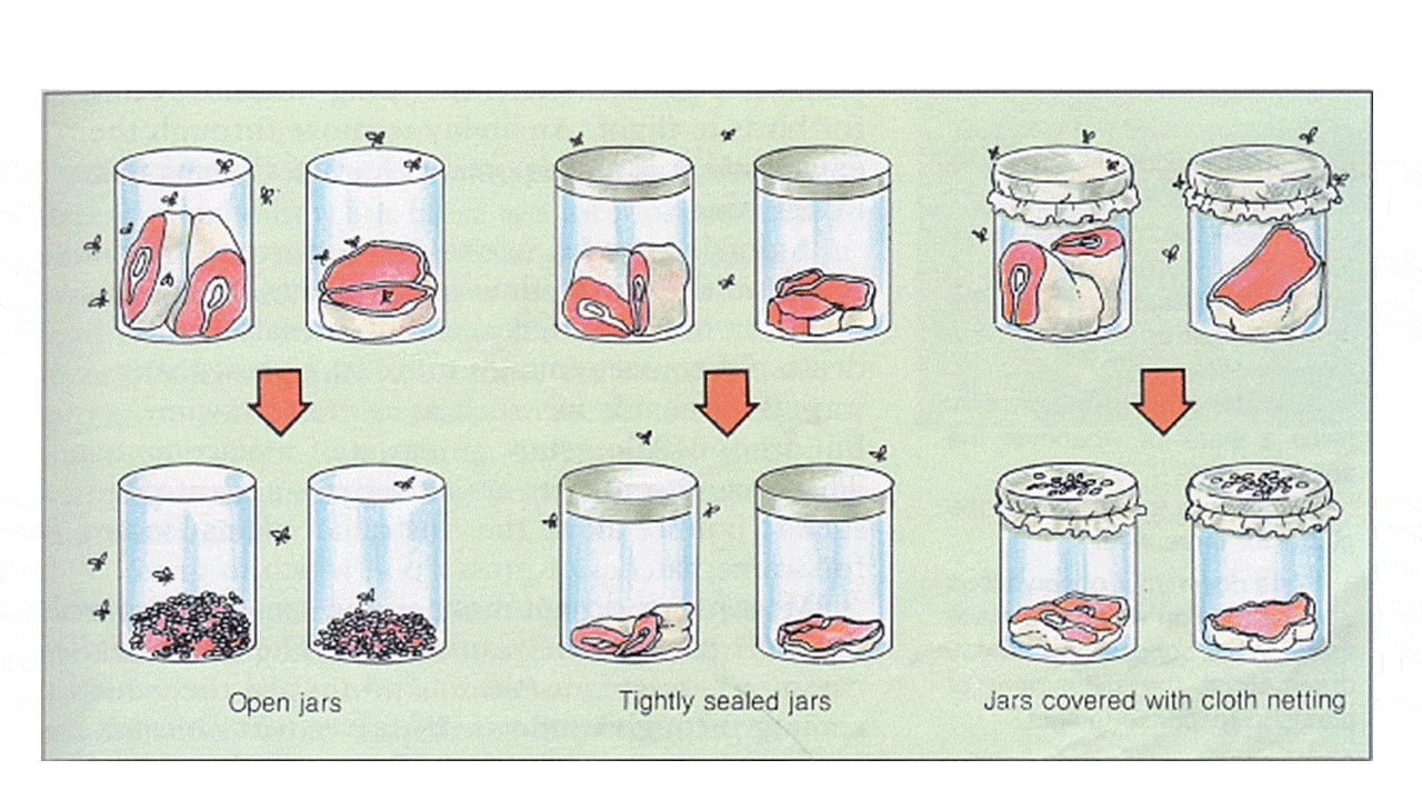 为啥身上会长蛆虫,人身上有蛆虫是什么原因