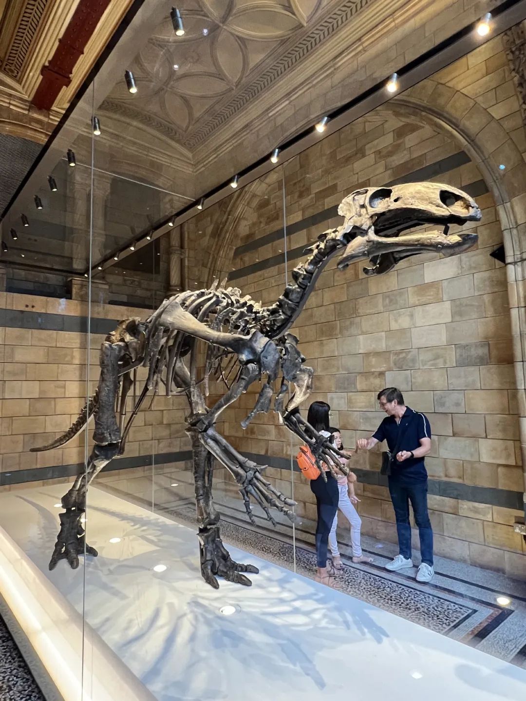 跟老公去英国生活,和老公一起去伦敦旅游