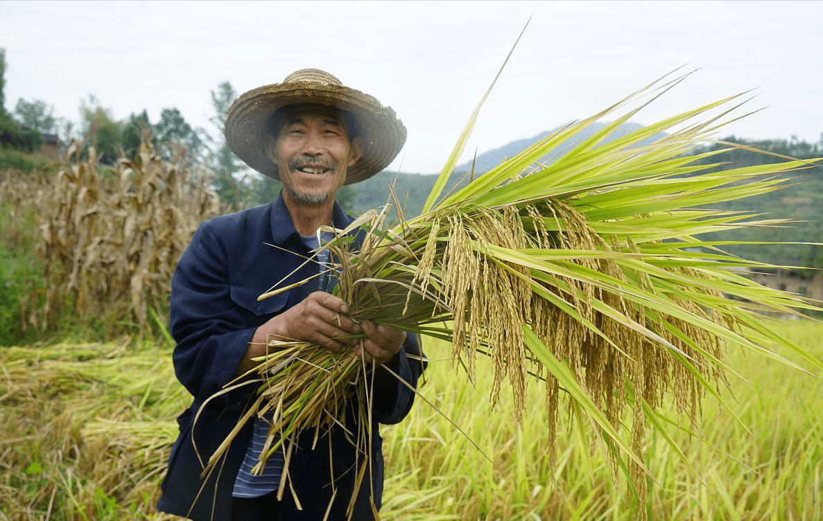 美国也开始犯糊涂了？为何美国宁愿“倒贴”，也要向中国出口粮食