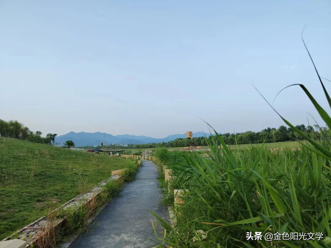 我的自画像独一无二,我的自画像范例