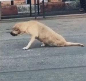 男人最应该锻炼的肌肉,男人最适合做什么锻炼