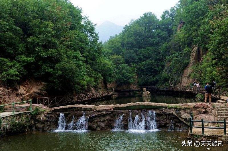 河南景点森林氧吧,河南五地入选中国天然氧吧