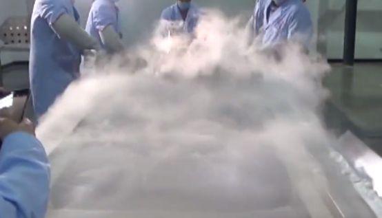 我国首例冷冻人杜虹,中国第一冷冻人杜虹