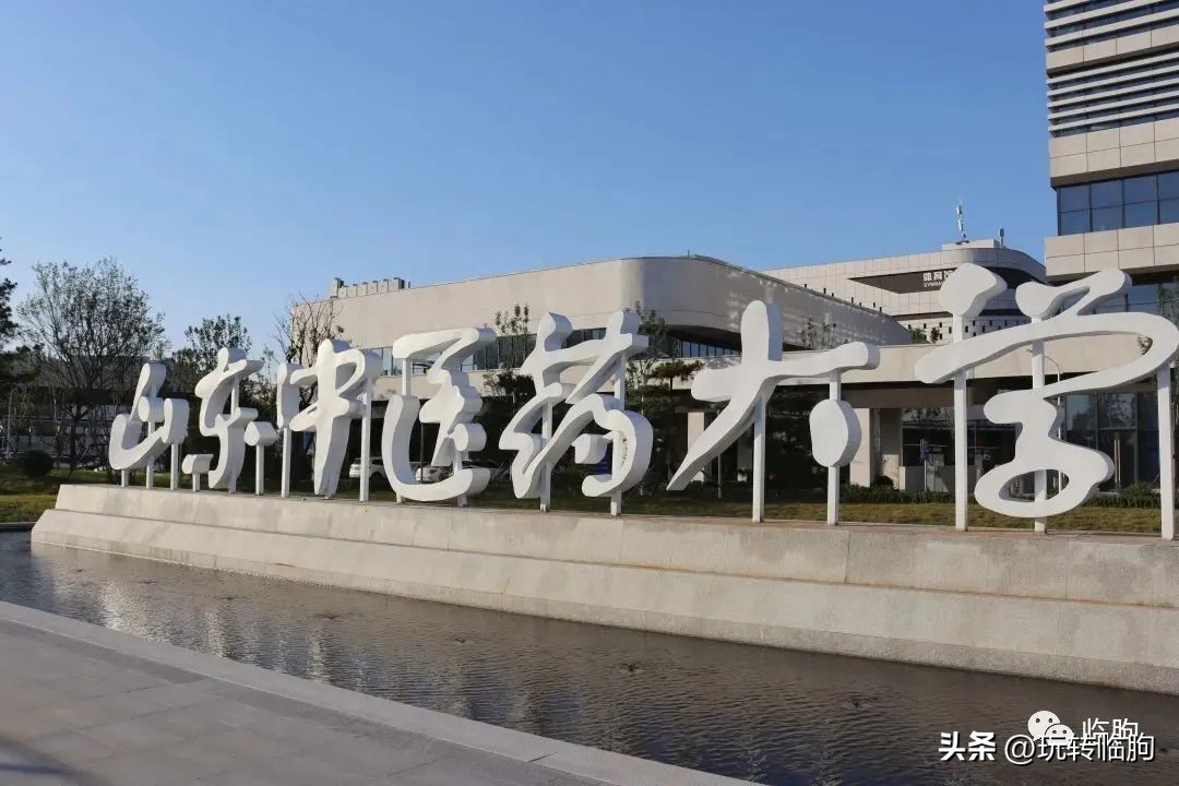 山中医官网,山中医寒假