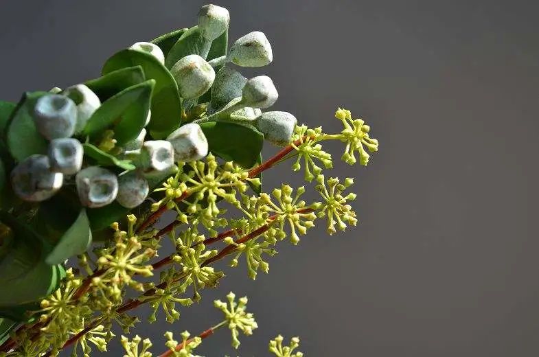 北仑疫情还回得了家吗,北仑疫情出不去了么