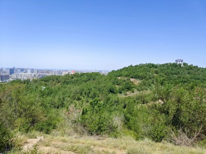 近山近水的意思,近山近水近自然