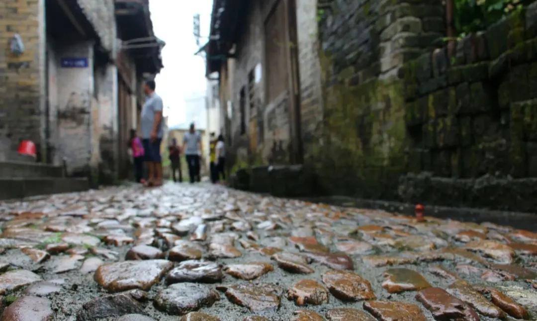 不系舟微博《诗路茶道》