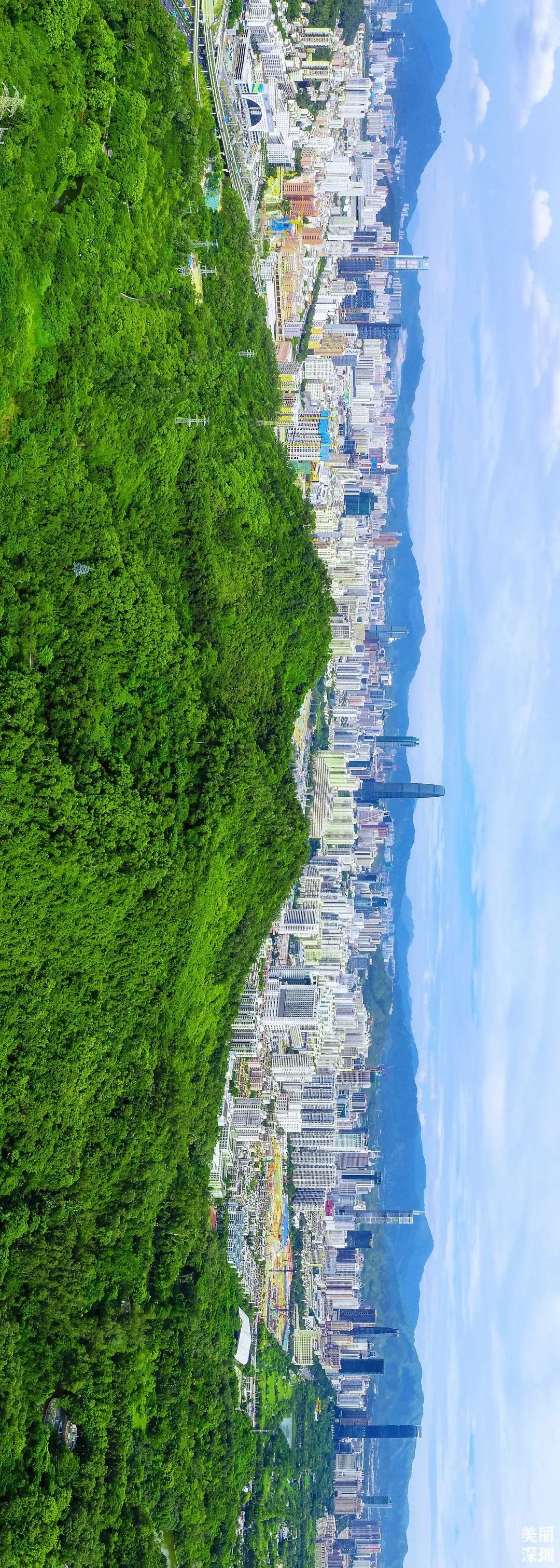 深圳最美公园是什么样子的,深圳市最美公园图片欣赏