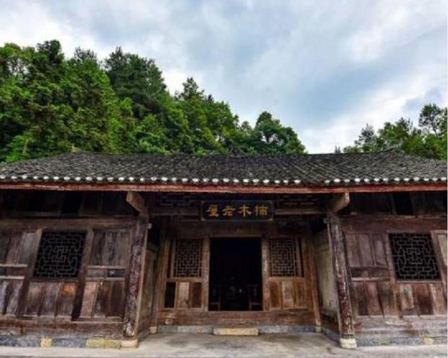 一棵树价值十亿,金丝楠木是最贵的树木吗