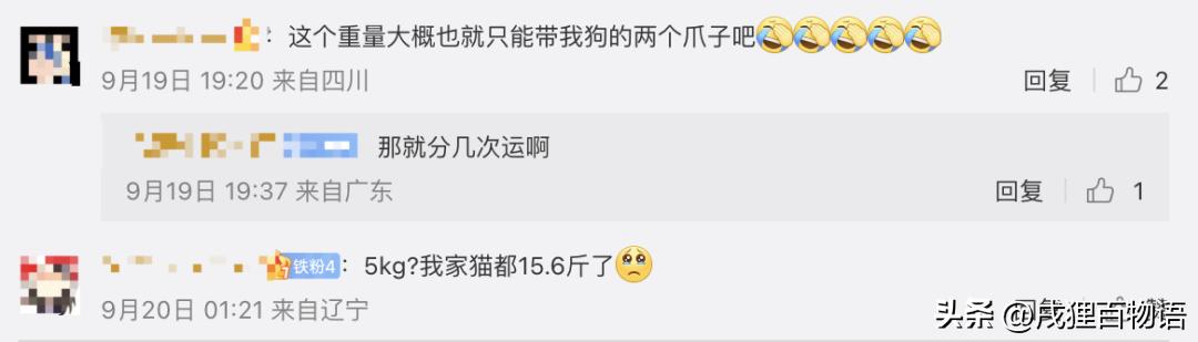 海南航空宠物进客舱,海南航空可将宠物带入客舱