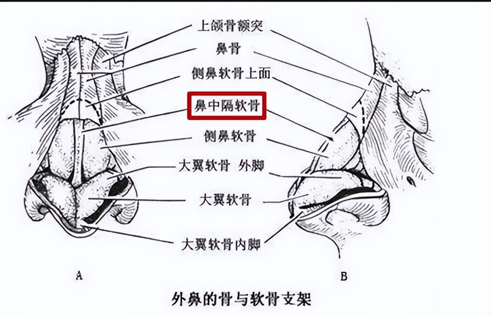 北京八大处整形医院歪鼻矫正,北京同仁医院鼻科知名专家排名