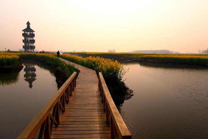 新泰州人才网最新招聘,新泰州人才网招聘
