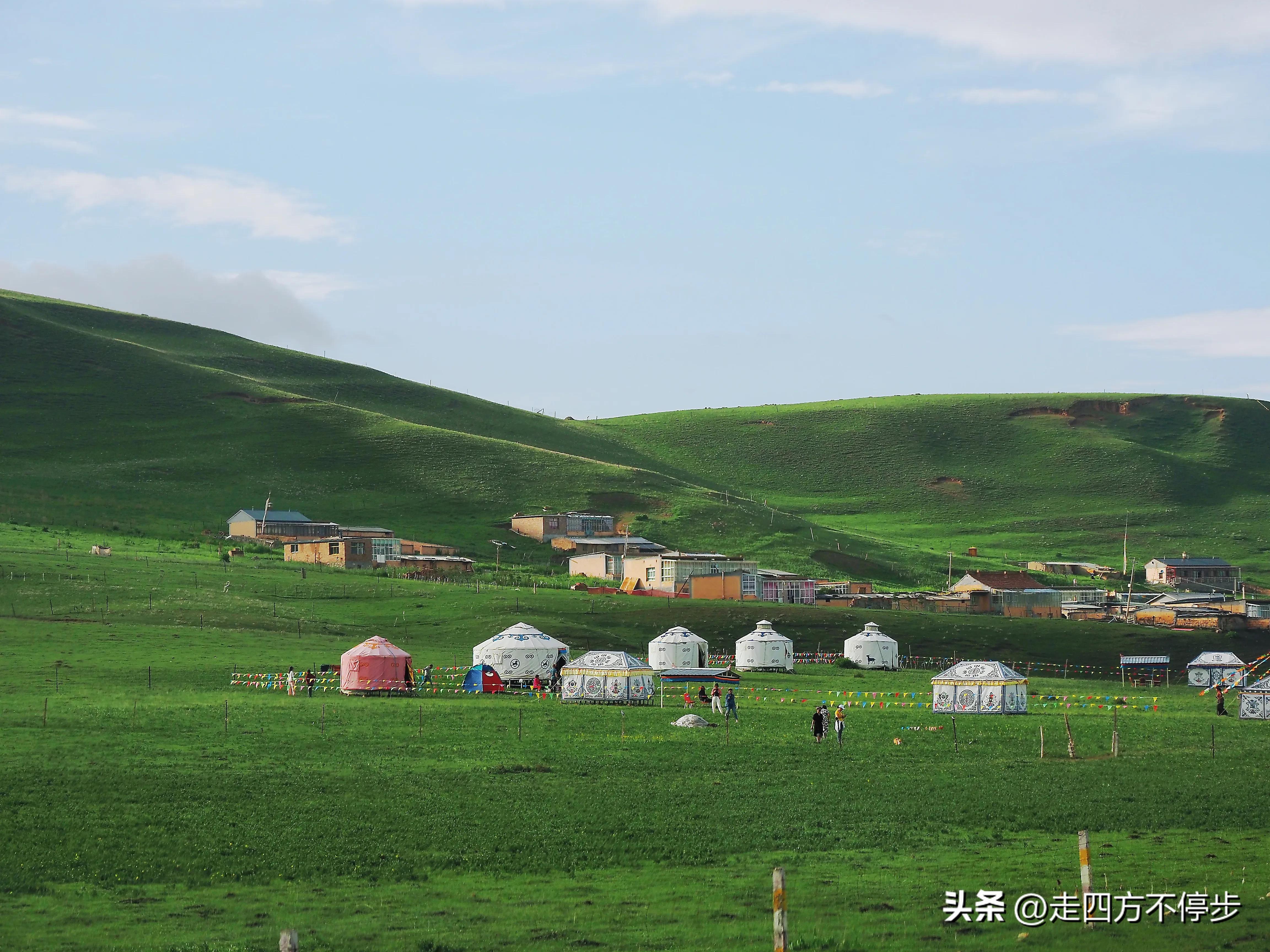 甘南自驾游桑科草原下一站,甘南桑科草原高清精美视频