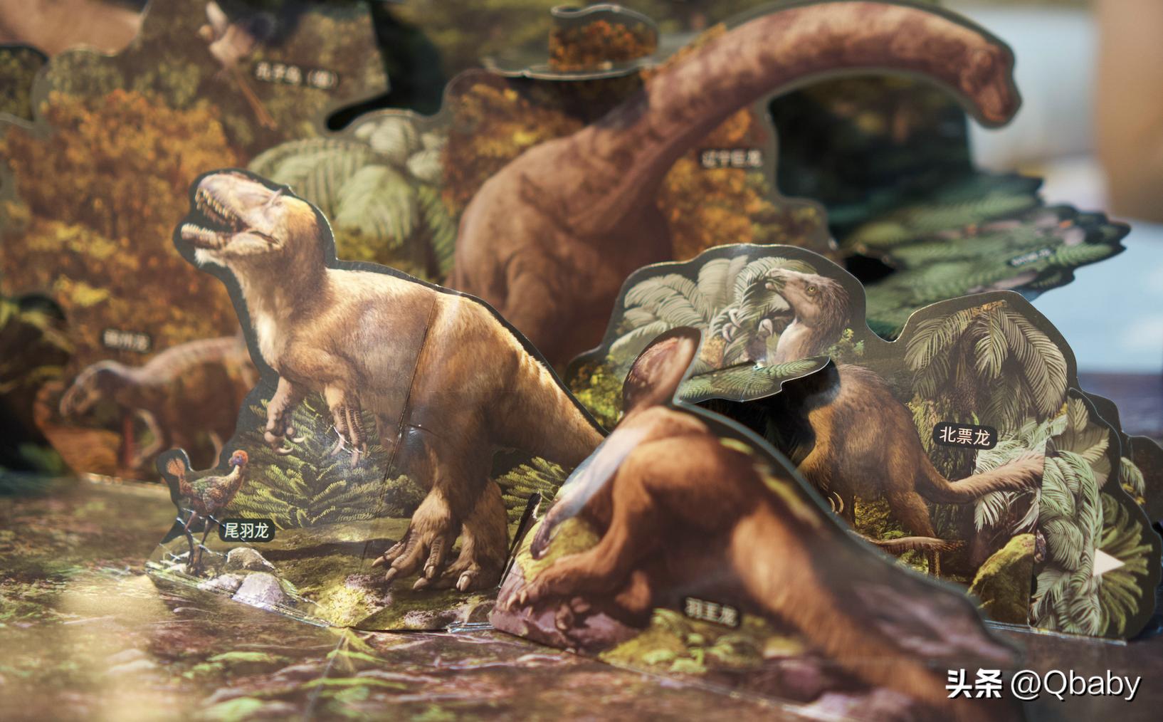 奇趣动物百科书,百科全书稀奇古怪的动物