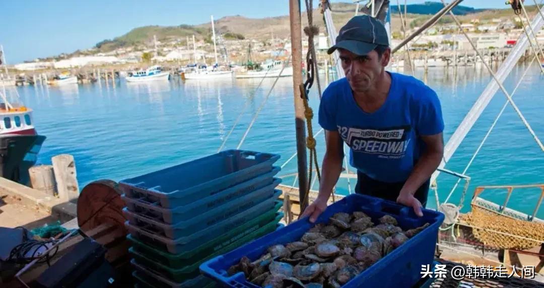 新西兰世界唯一的净土,新西兰一个隐藏的天堂