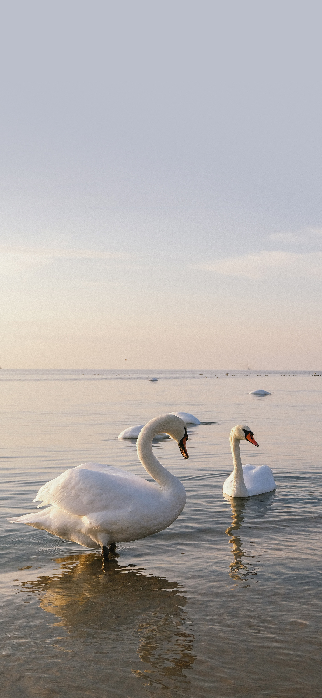 4k超清手机壁纸3120,498超清手机壁纸