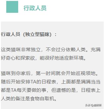 怎么测试你家猫是不是真的布偶猫,mbti测试16种性格相互关系图
