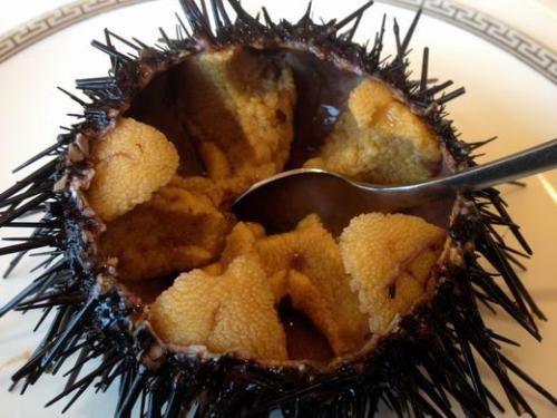 非洲大蜗牛入侵美国，每年可产5窝，花费数百万美元没法治理