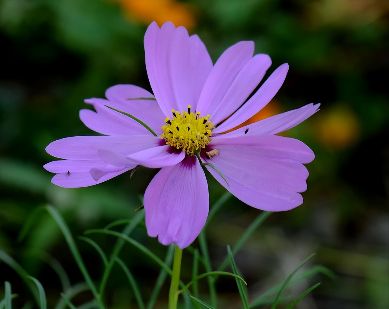 异性相处越界关系,异性之间亲密接触后关系更好