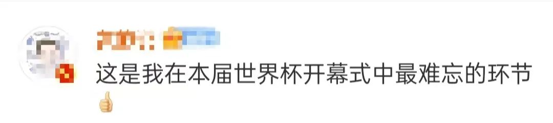 身残志坚残疾男子,身残志坚卡塔尔世界杯