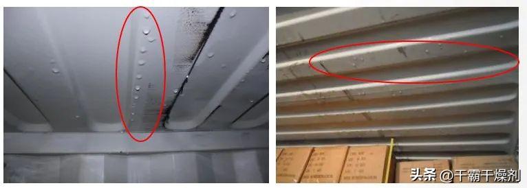 塑料制品受潮会生黄曲霉素吗,塑料制品发霉是什么霉