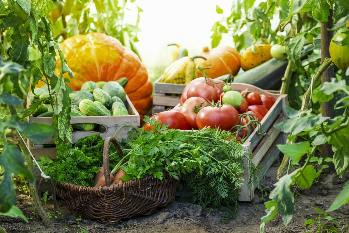 巫山云雨百科,巫山云雨