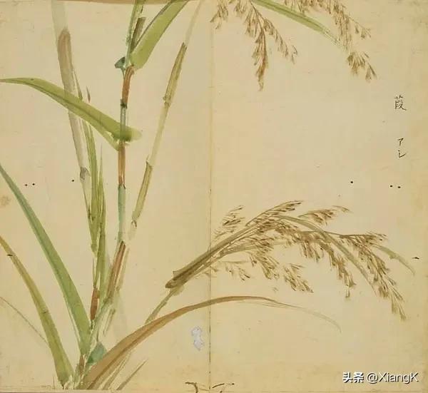 一天一词,一天一什么的成语