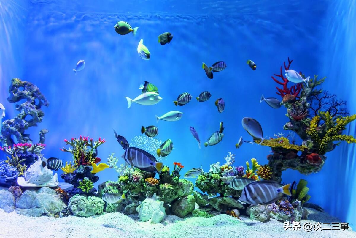 上海法租界十大必去景点图片,上海十大网红打卡景点