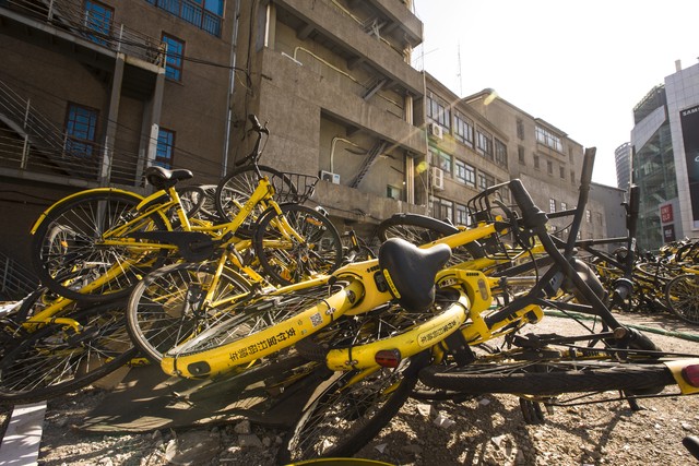 ofo创始人戴威退押金,ofo戴威被曝赴美国再创业