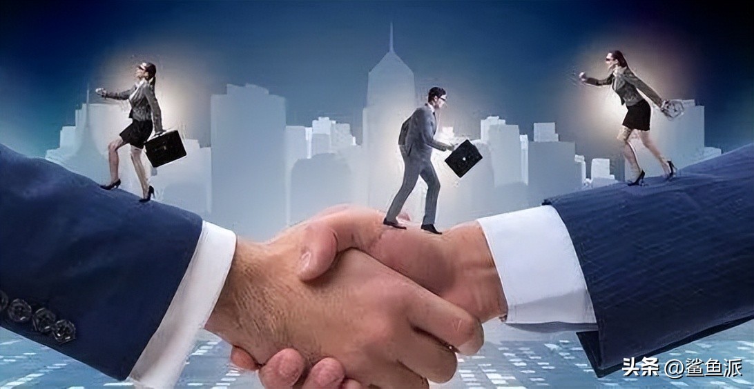 鲨鱼哥如何逆袭,鲨鱼哥深度解析