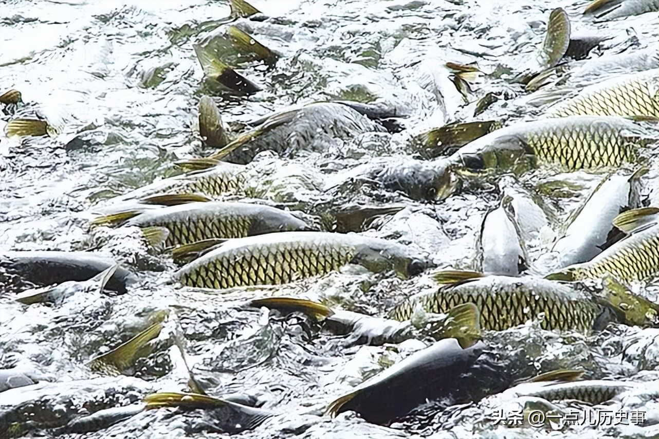 澳大利亚内陆为什么无法生存,澳大利亚是不是不适合生存