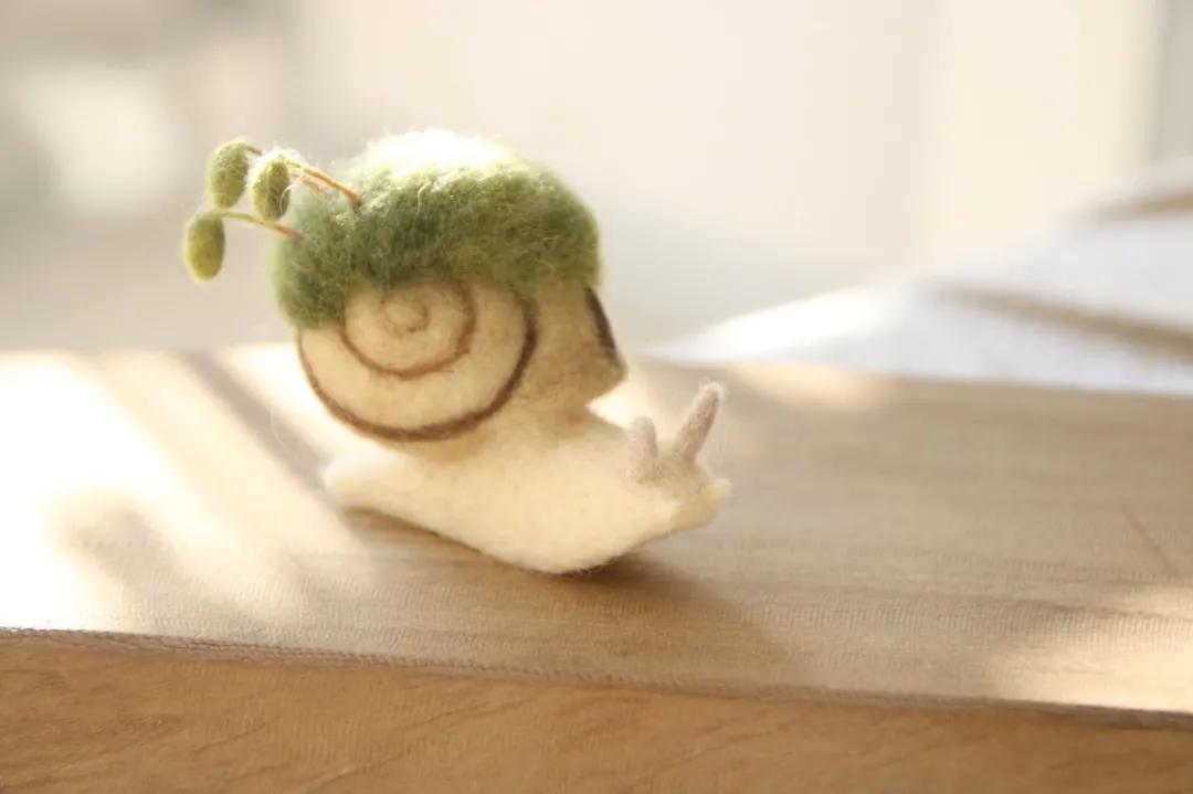 奇形怪状的羊毛毡,奇形怪状羊毛毡