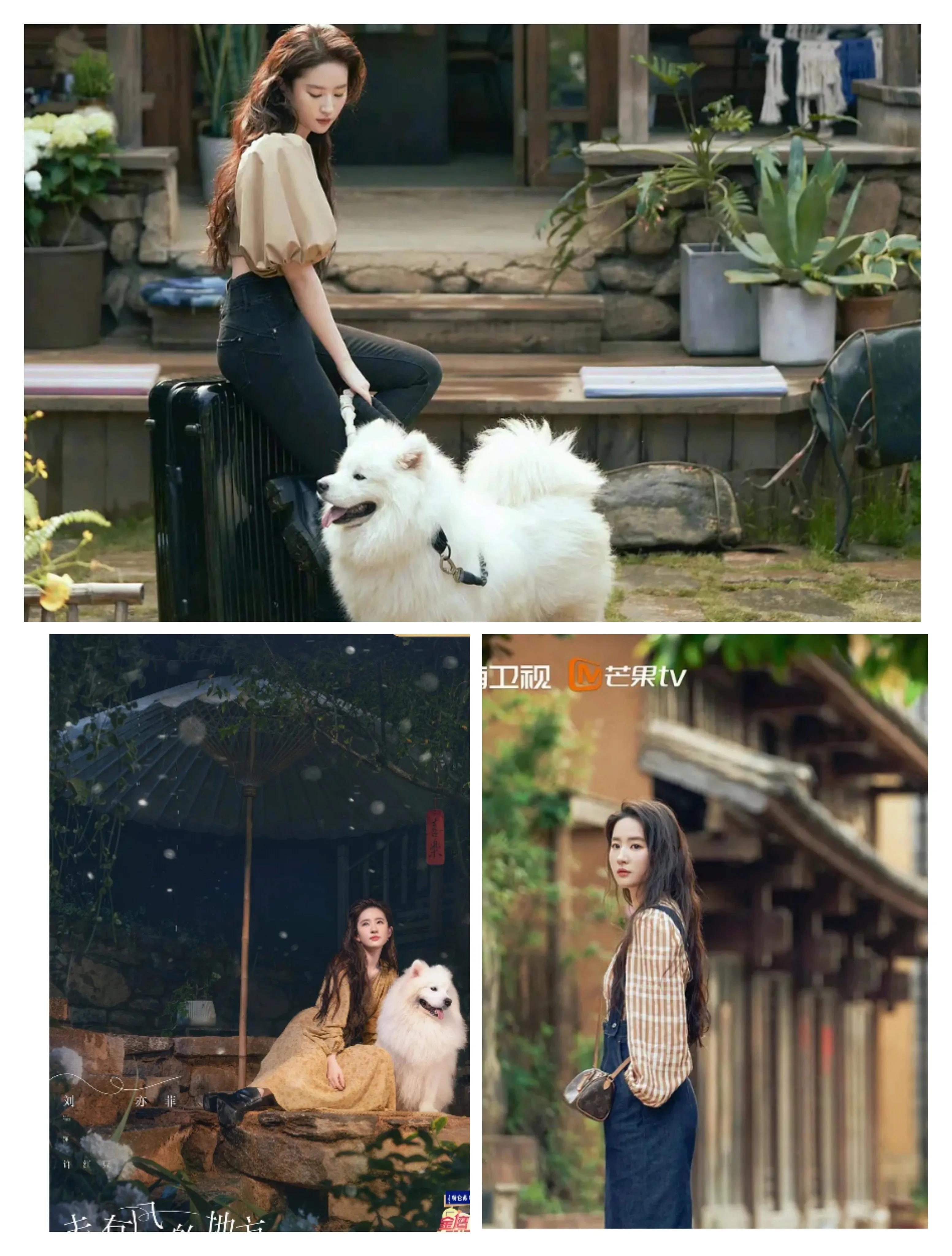 阚清子倪虹洁突如其来的假期,阚清子倪虹洁发布会