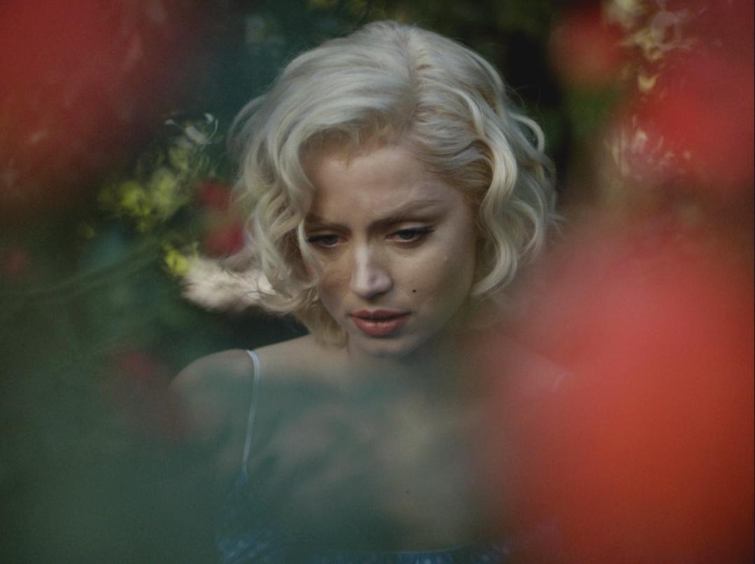 网飞什么节点资源多,网飞最大尺寸