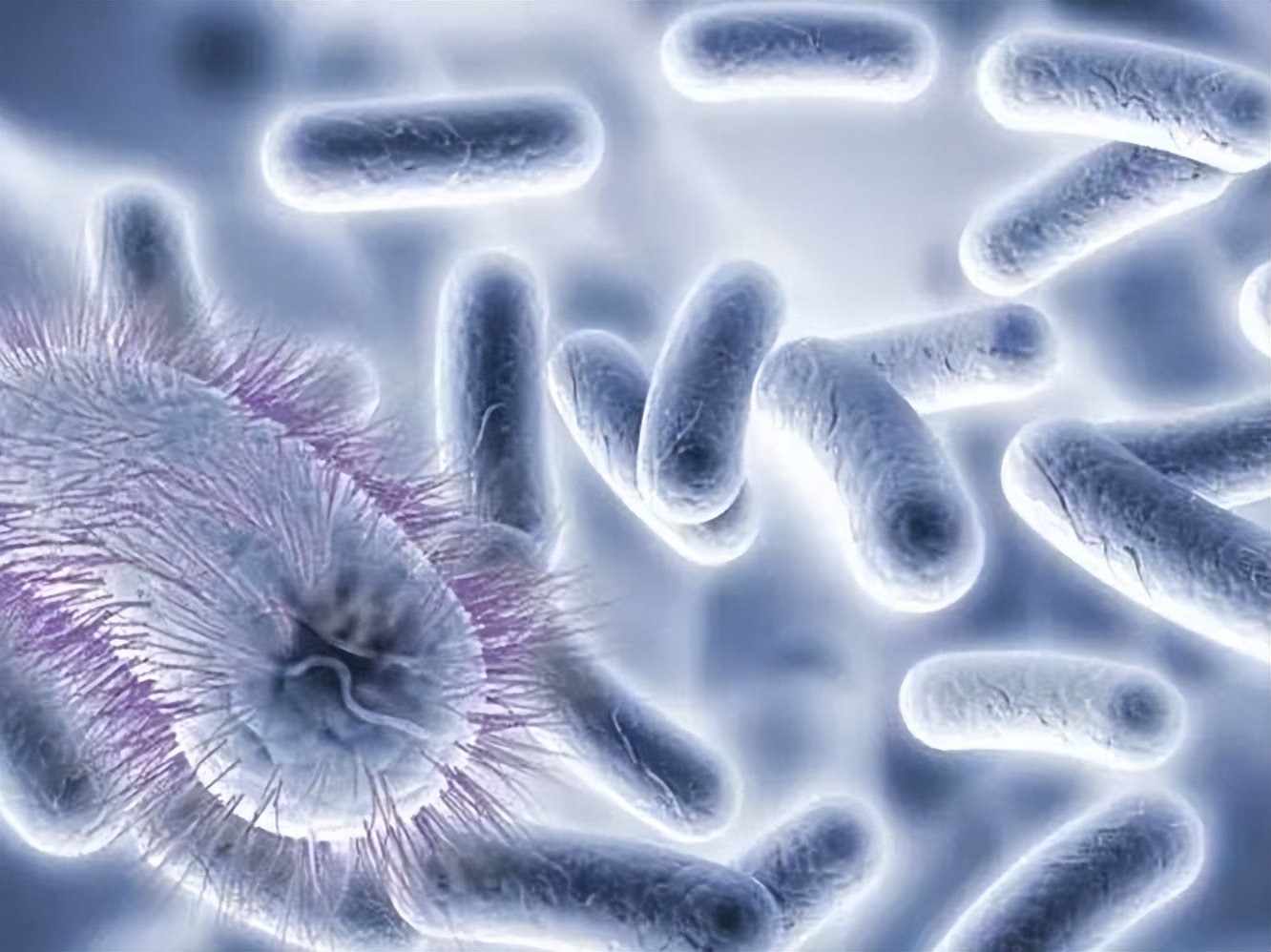 女人底下瘙痒是怎么回事,女人瘙痒难忍怎么回事