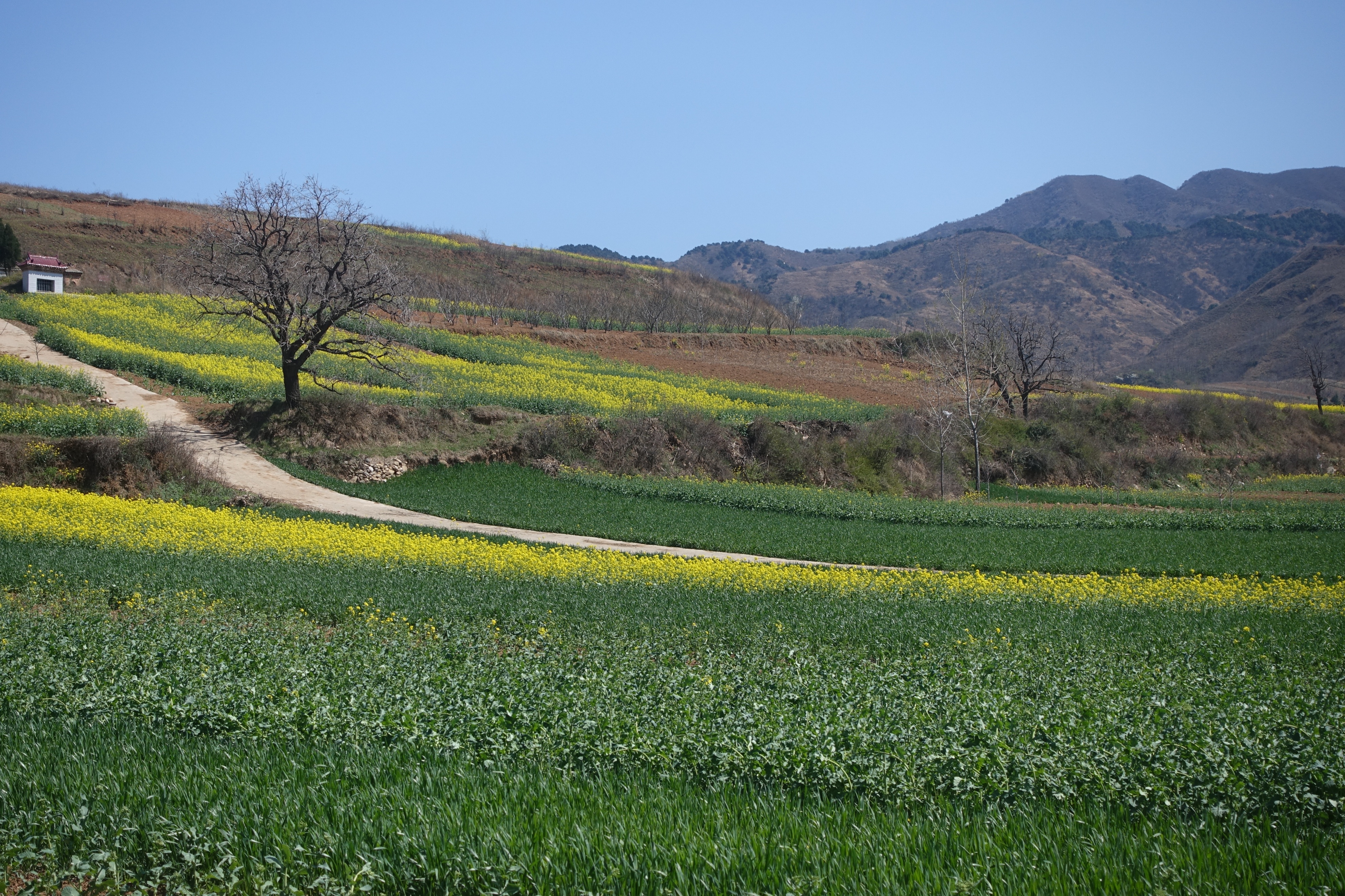 隐藏在西安的神秘古迹,隐匿在西安乡间的国宝级建筑