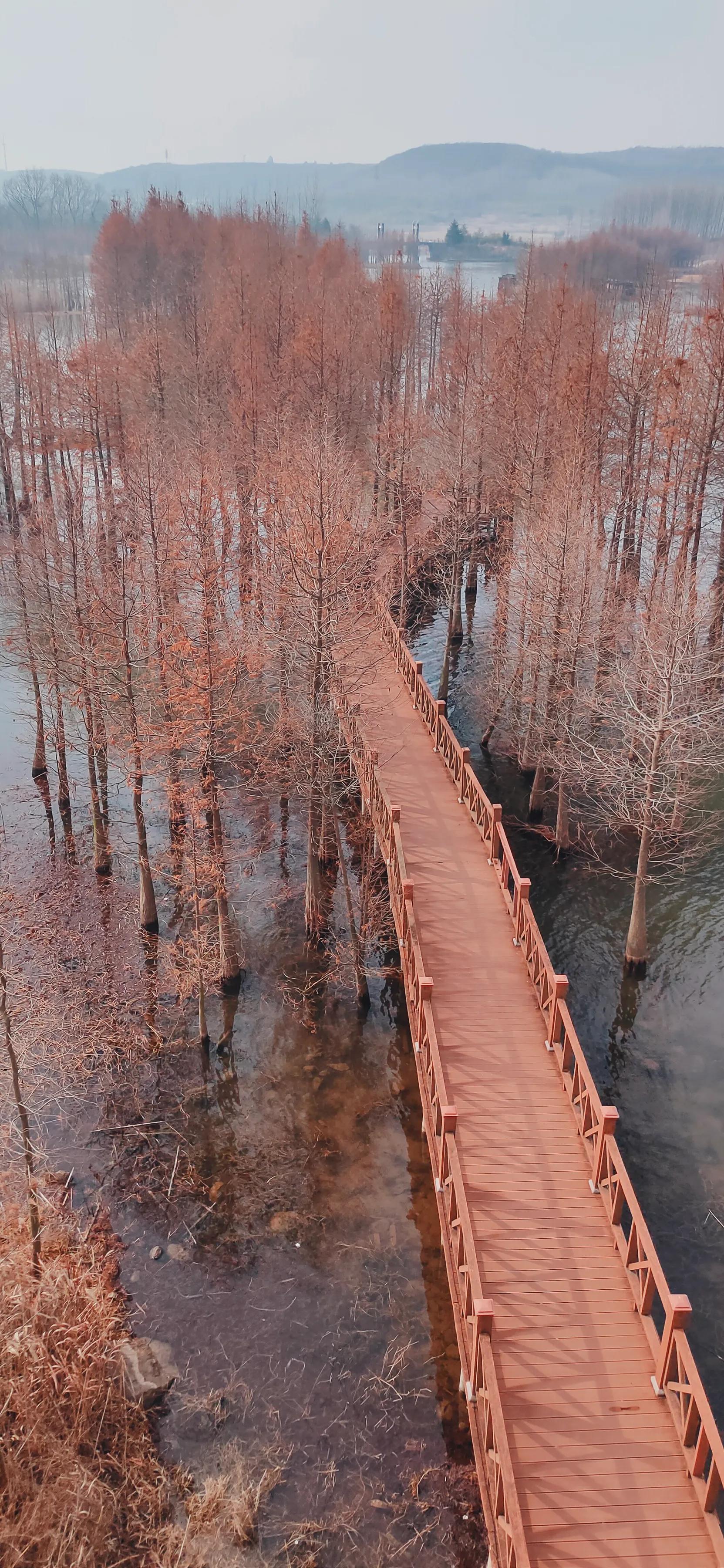 手拍世界近期作品,手拍世界完整版视频