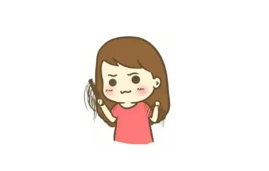 脱发中医开祛湿气的药,脱发祛湿补气血吃什么药