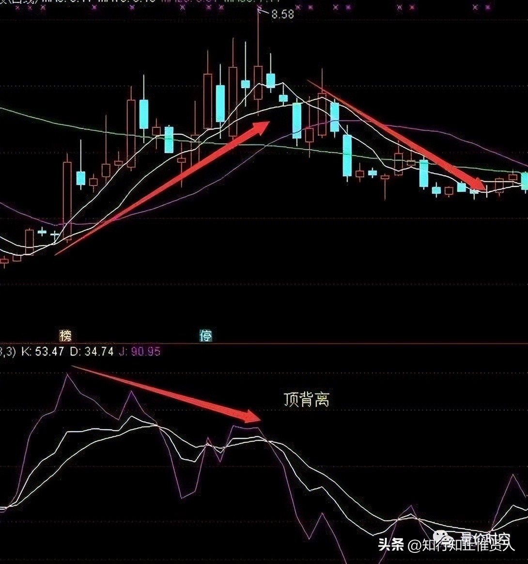 学到极致是什么意思,学到极致便是沧海一粟